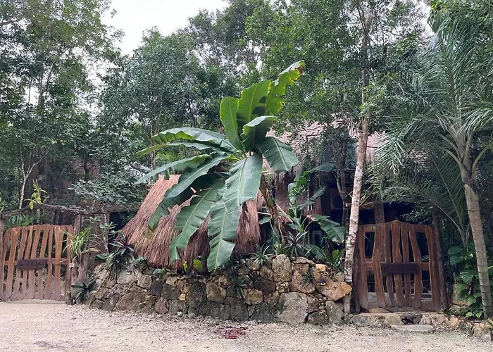 Holiday home Casa & Palapa De La Selva *