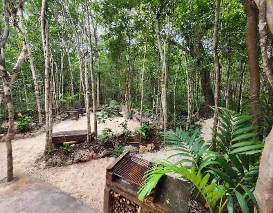 Casa & Palapa De La Selva Holiday home *