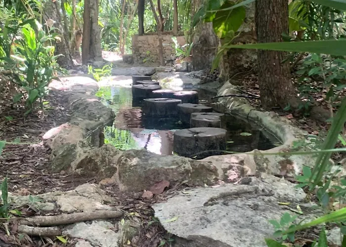 Casa & Palapa De La Selva *